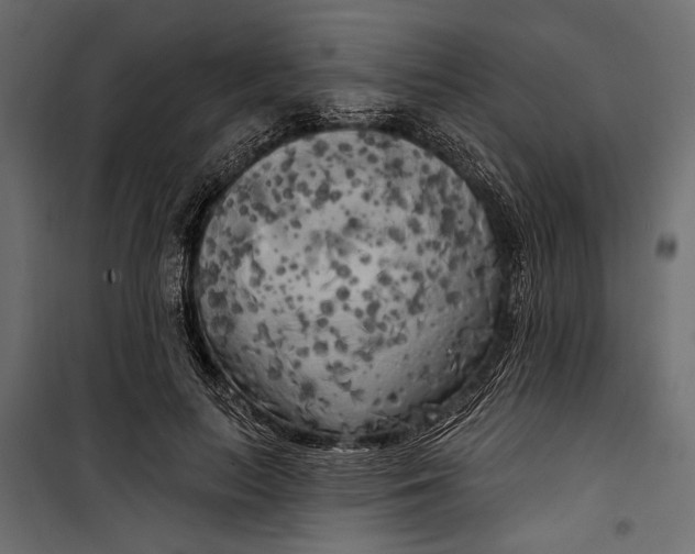 X0000100330647200806191109