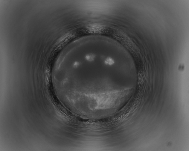 X0000100330648200806191109