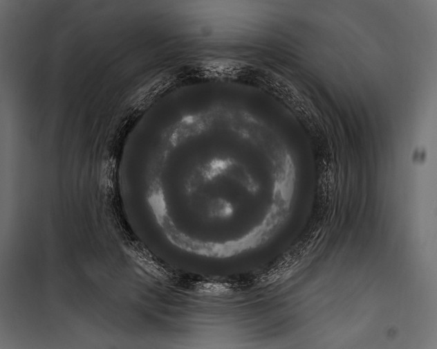 X0000100330649200806191109