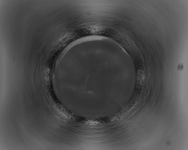 X0000100330650200806191109