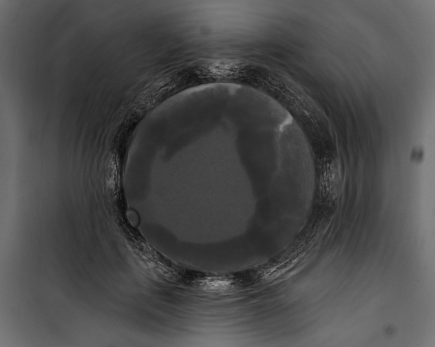 X0000100330651200806191109