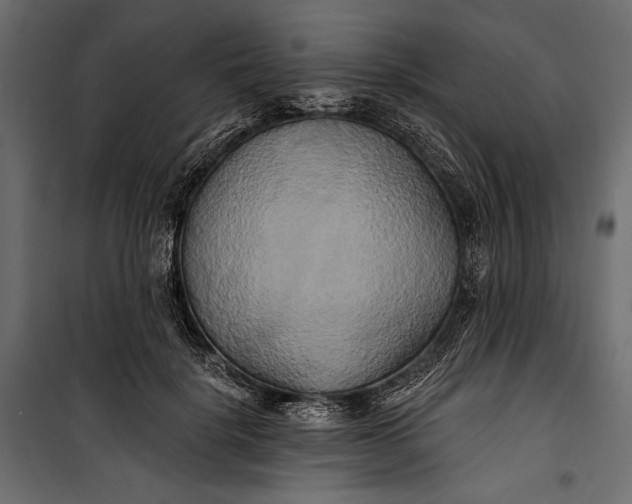 X0000100330652200806191109