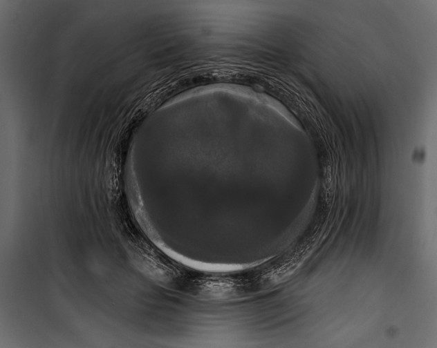 X0000100330653200806191109