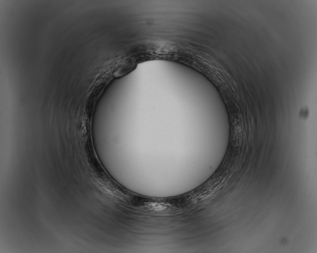 X0000100330654200806191109