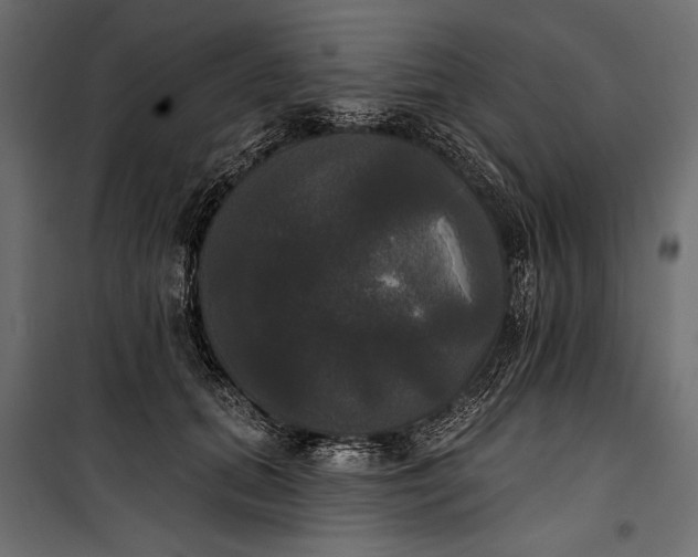 X0000100330655200806191109