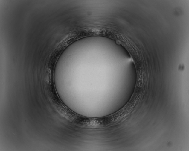 X0000100330656200806191109