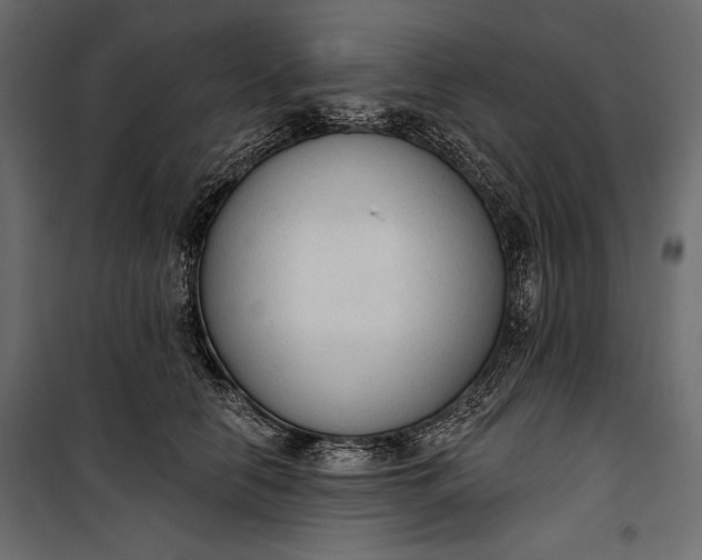 X0000100330658200806191109