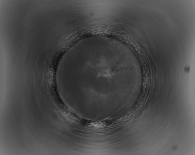 X0000100330659200806191109