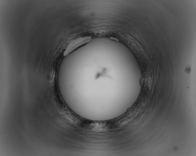 X0000100330660200806191109