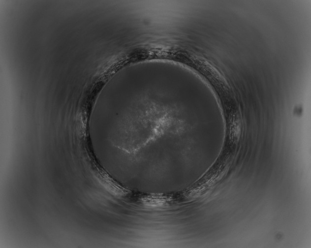 X0000100330661200806191109