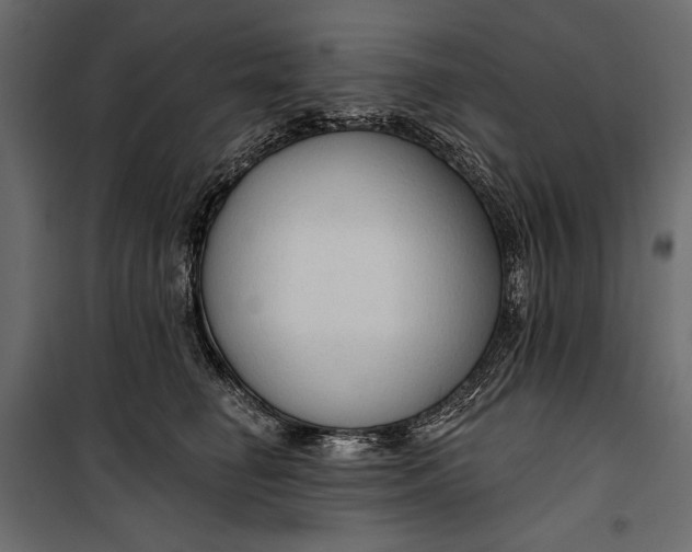 X0000100330662200806191109