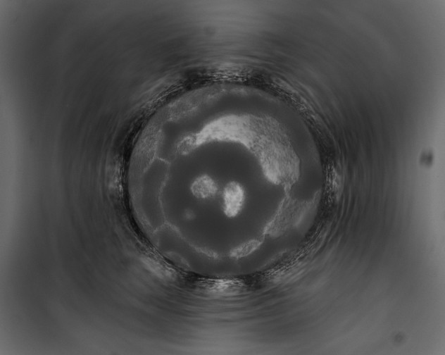 X0000100330663200806191109