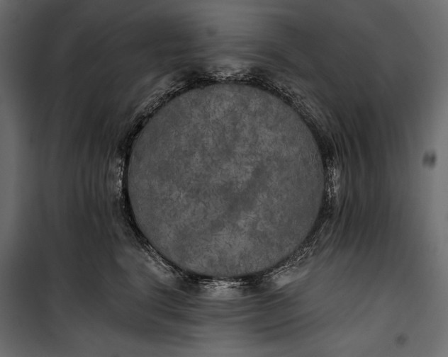 X0000100330664200806191109