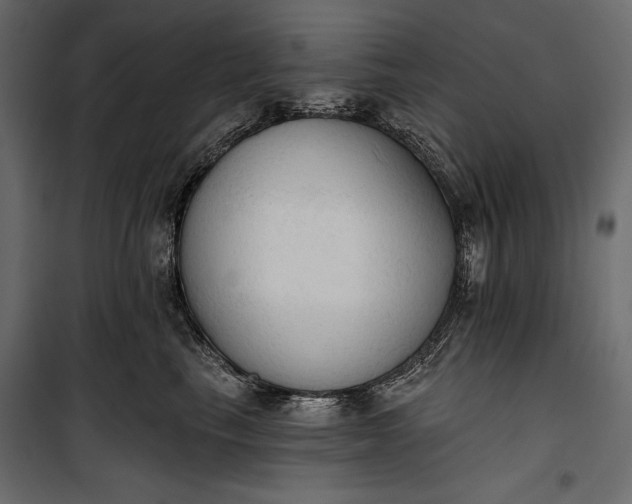 X0000100330665200806191109