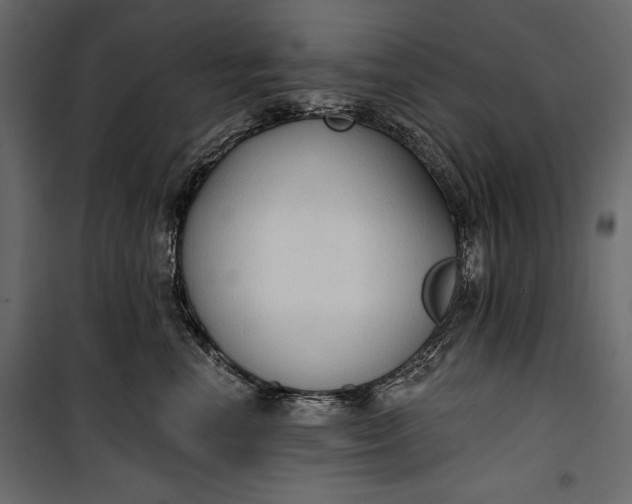 X0000100330666200806191109