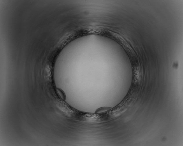 X0000100330667200806191109