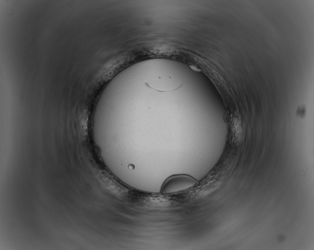 X0000100330668200806191109