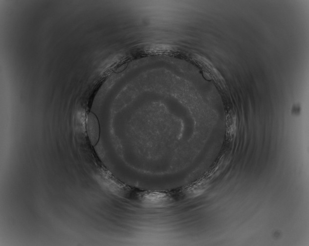 X0000100330669200806191109