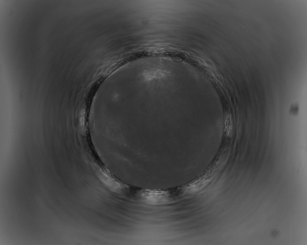 X0000100330670200806191109