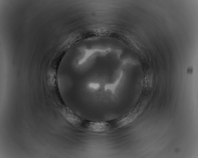 X0000100330671200806191109