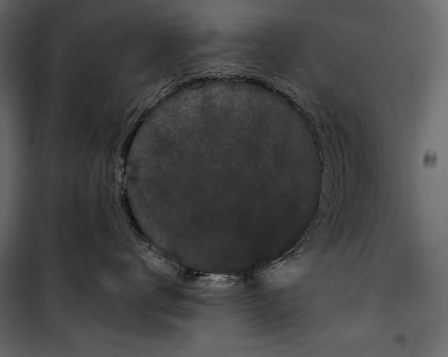 X0000100330672200806191109