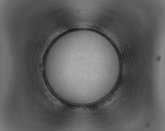 X0000100330673200806191108