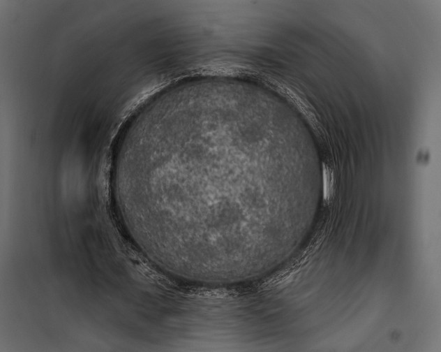 X0000100330675200806191108