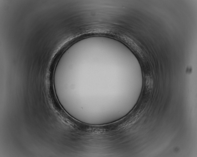 X0000100330676200806191108