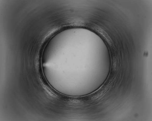 X0000100330677200806191108