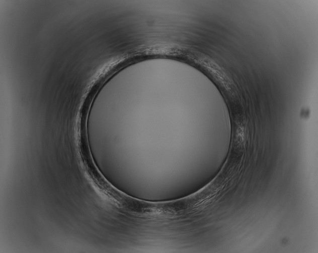 X0000100330678200806191108