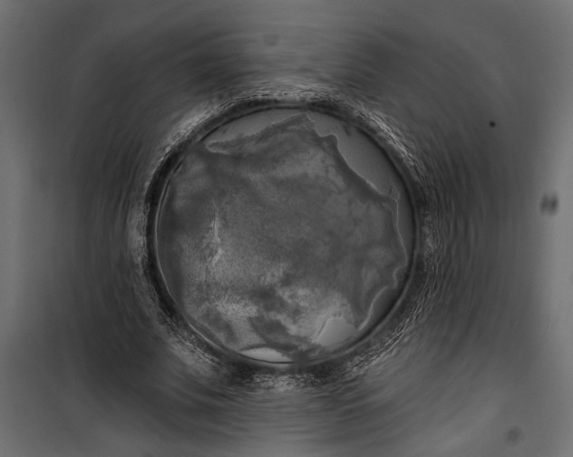 X0000100330679200806191108