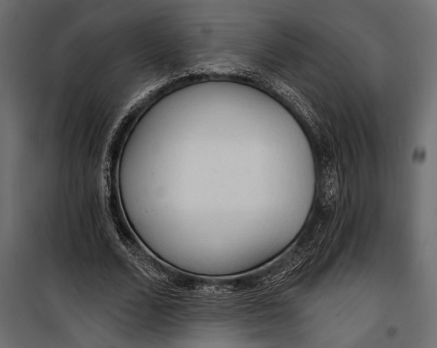 X0000100330680200806191108