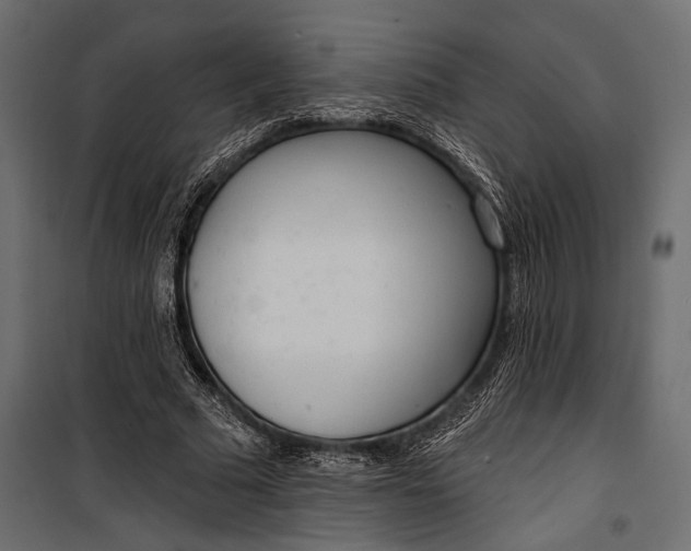 X0000100330681200806191108