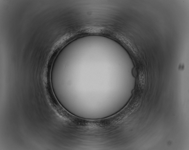 X0000100330682200806191108