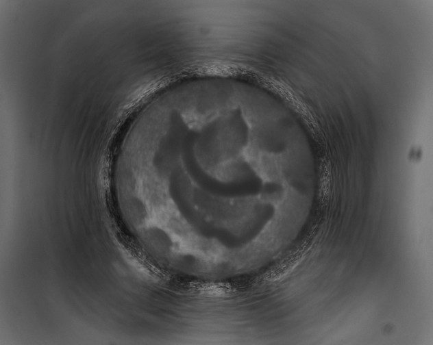 X0000100330683200806191108