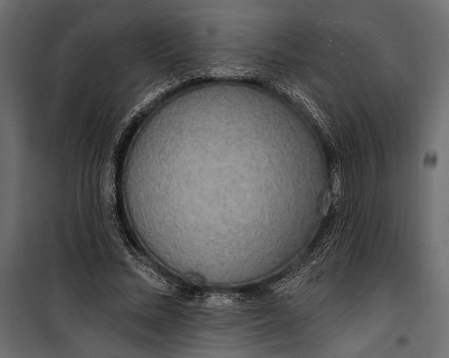 X0000100330684200806191108