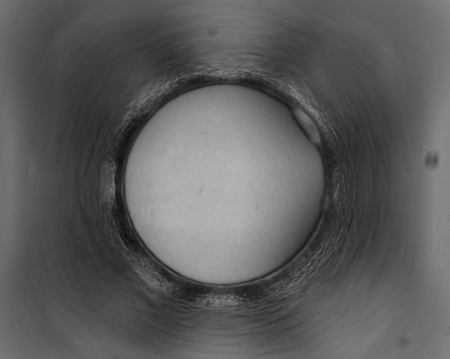 X0000100330685200806191108