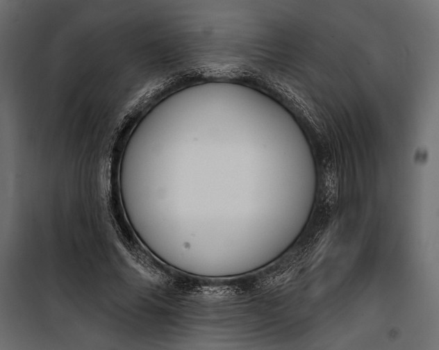 X0000100330686200806191108