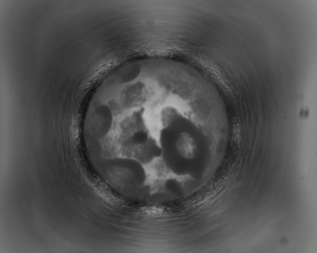 X0000100330687200806191108