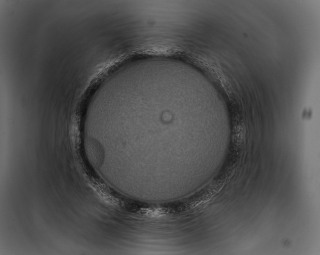 X0000100330688200806191108