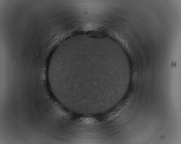 X0000100330689200806191108