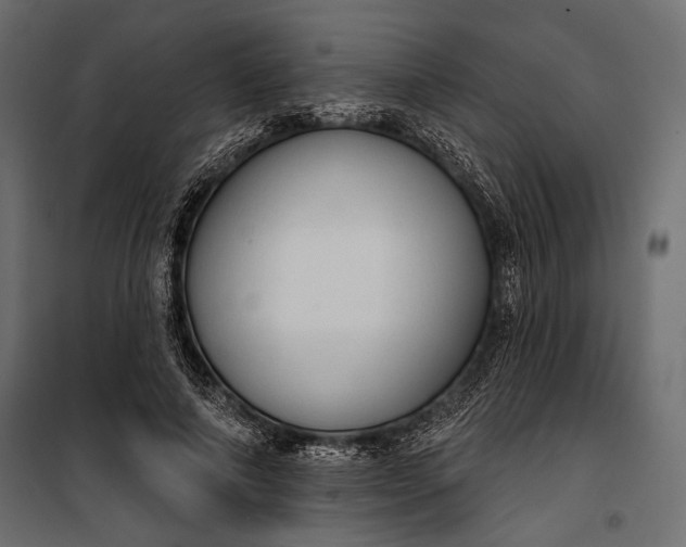 X0000100330690200806191108