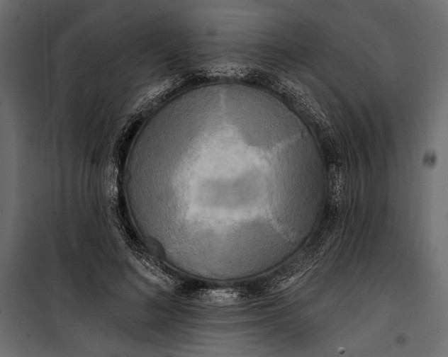 X0000100330692200806191108