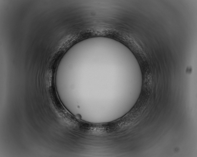 X0000100330694200806191108