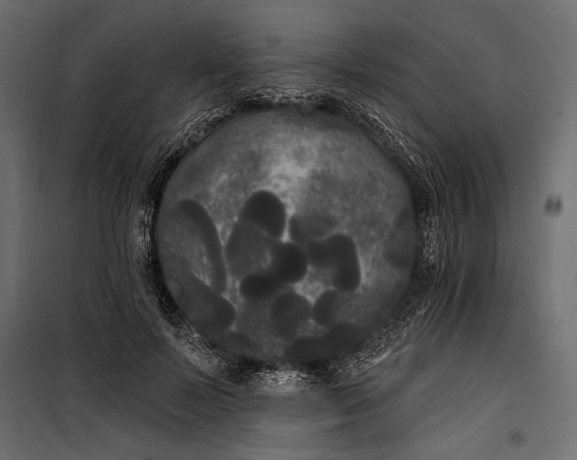 X0000100330695200806191108