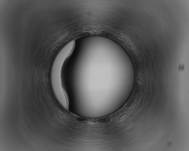 X0000100330697200806191108