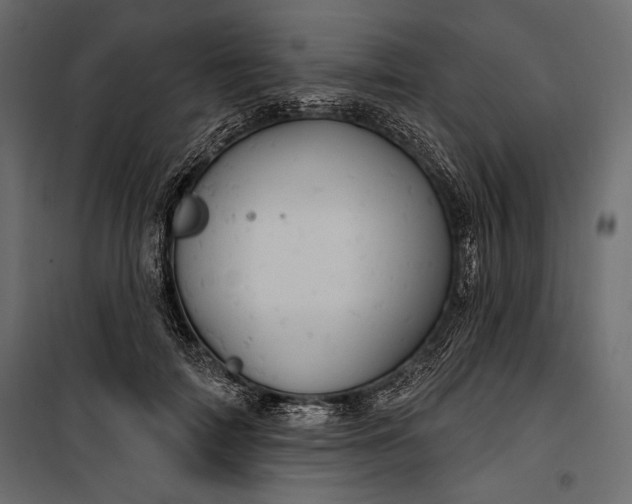 X0000100330698200806191108