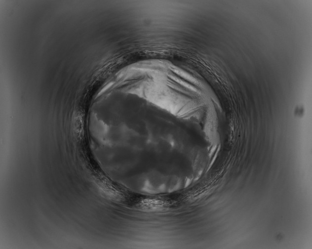 X0000100330699200806191108