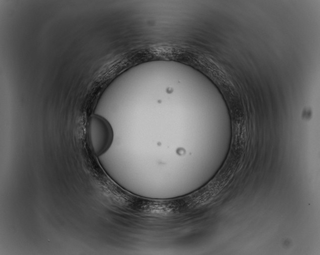 X0000100330702200806191108