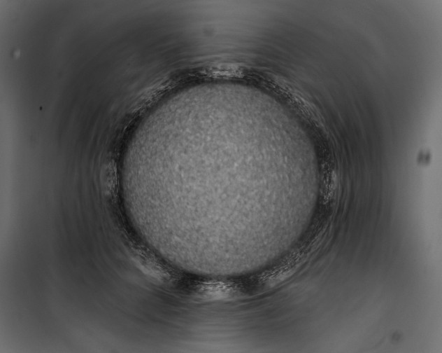 X0000100330704200806191108